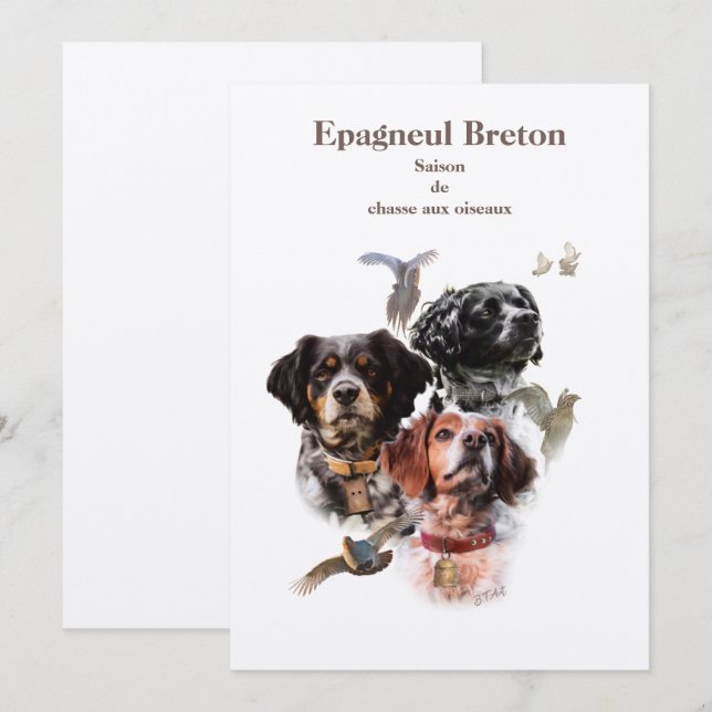 Brittany Spaniel Invitation (Front/Back)