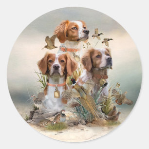 Brittany Spaniel , Passion for Birds Classic Round Sticker