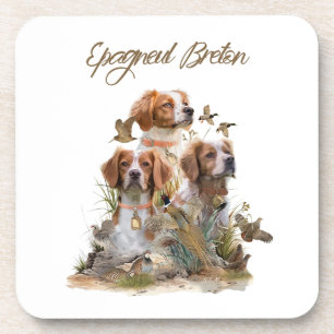 Brittany Spaniel , Passion for Birds Coaster