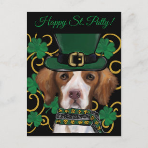 Brittany Spaniel       Postcard