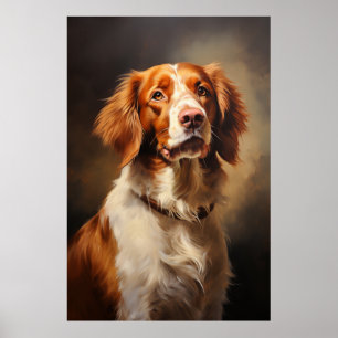 Brittany Spaniel  Poster
