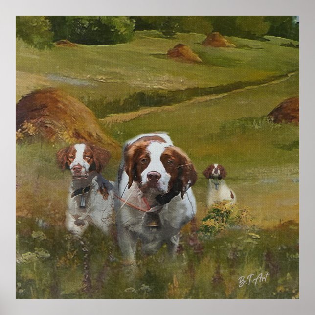 Brittany Spaniel  Poster (Front)