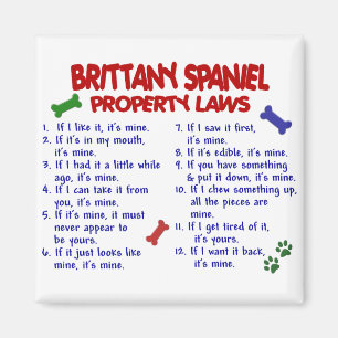 BRITTANY SPANIEL Property Laws 2 Magnet