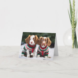 Brittany Spaniel Puppies Christmas Card