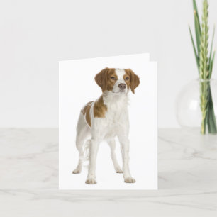 Brittany Spaniel Puppy Dog Blank Note Card