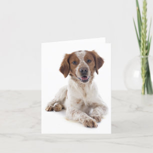 Brittany Spaniel Puppy Dog Blank Note Card