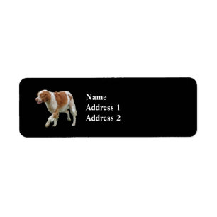 Brittany Spaniel Return Address Label
