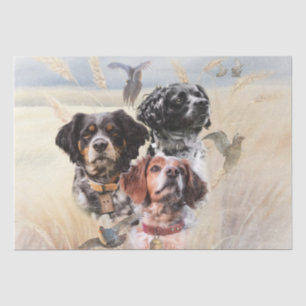 Brittany Spaniel Tissue Paper