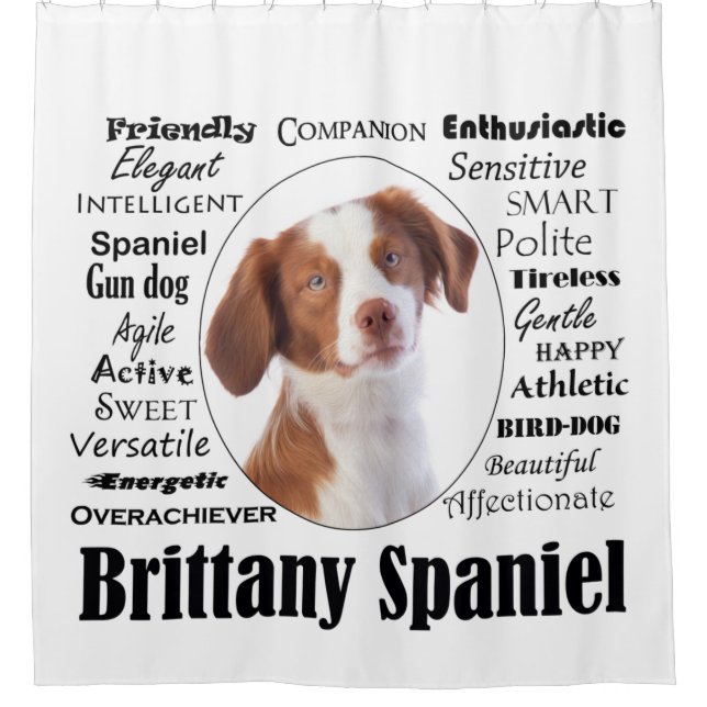 Brittany Spaniel Traits Shower Curtain (Front)