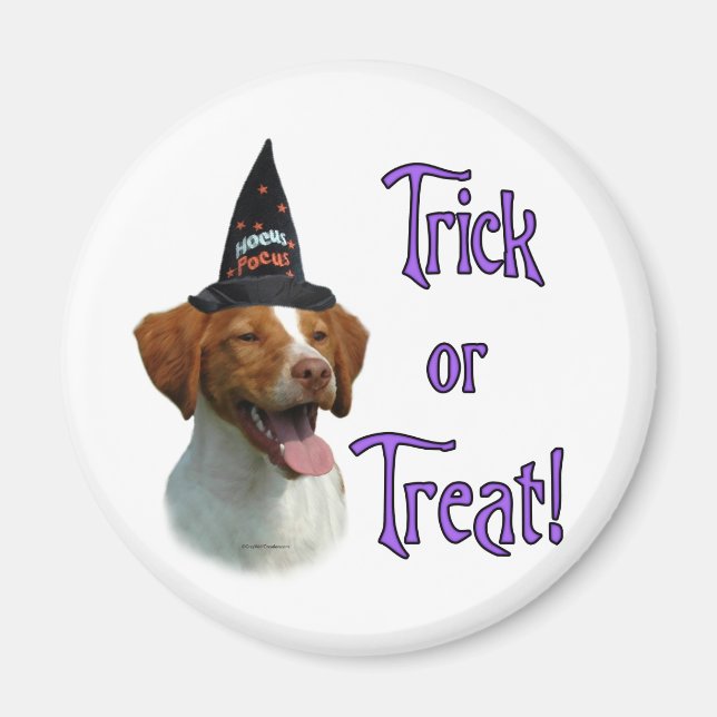Brittany Spaniel Trick Magnet (Front)
