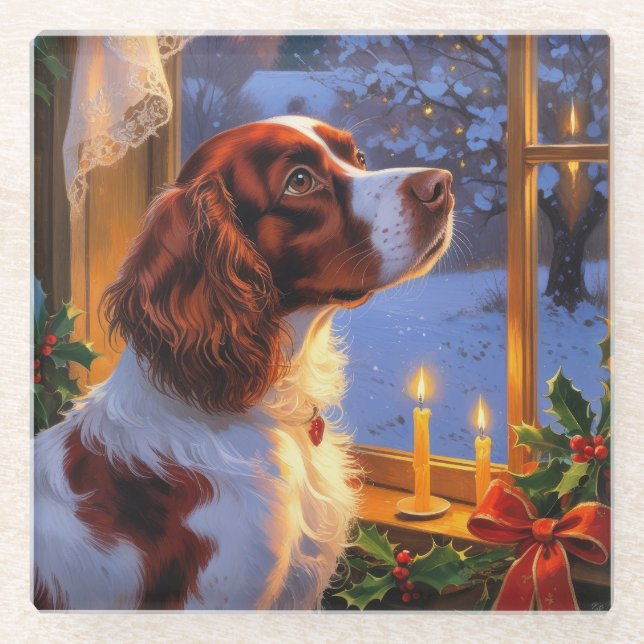 Brittany Spaniel with Christmas Lights Holiday  Glass Coaster (Front)
