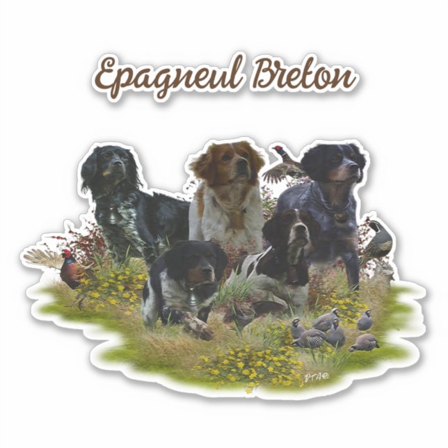  Brittany Spaniels,   Bird Hunting    (Front)