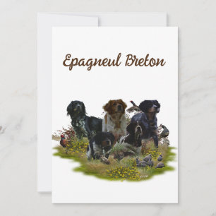 Brittany Spaniels,   Bird Hunting   Invitation