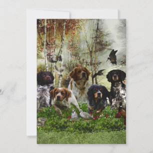 Brittany Spaniels,   Bird Hunting   Invitation