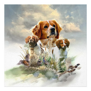 Brittany Spaniels , French Brittany , Bird dog  Photo Print
