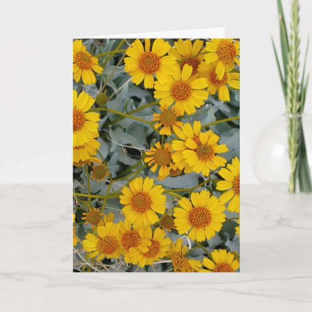 Brittlebush Flowers Greeting Card_customizable Card (Front)