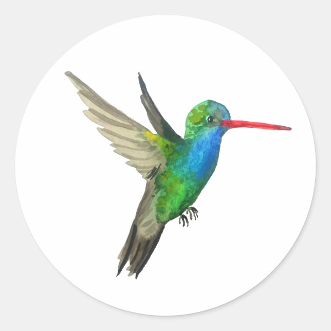 Broad-billed Hummingbird Classic Round Sticker (Front)