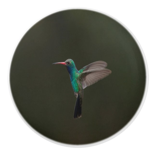 Broad-Billed Hummingbird in flight Ceramic Knob (Front)
