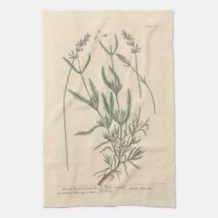 Broad-Leaved Lavendar by Blackwell Tea Towel