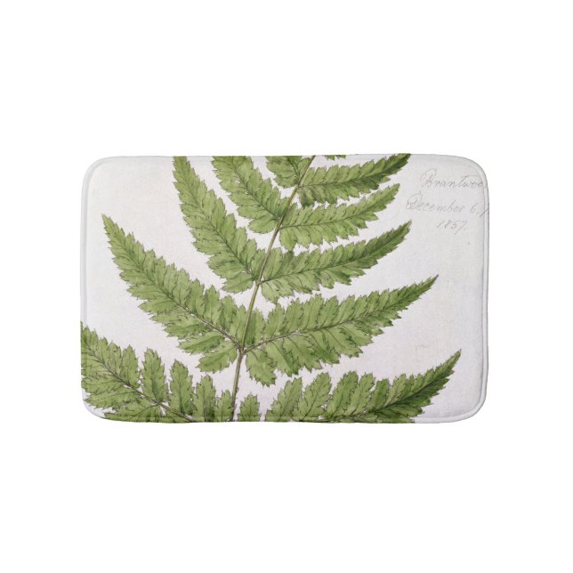 Broad Prickly-toothed Buckler Fern, painted at Bra Bath Mat (Front)