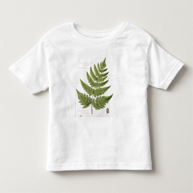 Broad Prickly-toothed Buckler Fern, painted at Bra Toddler T-Shirt (Front)