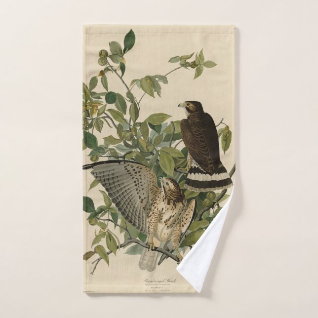 Broad-winged Hawk from Audubon's Birds of America Bath Towel Set (Hand Towel)