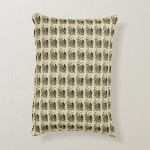 Broad-winged Hawk from Audubon's Birds of America Decorative Cushion