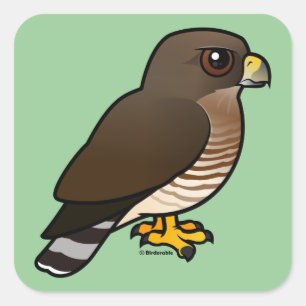 Broad-winged Hawk Square Sticker