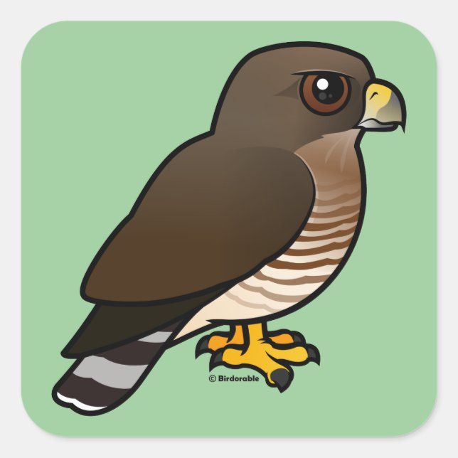 Broad-winged Hawk Square Sticker (Front)