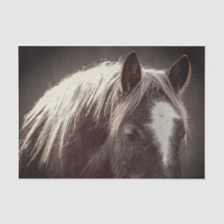 Broadfoot Colt Tissue Paper