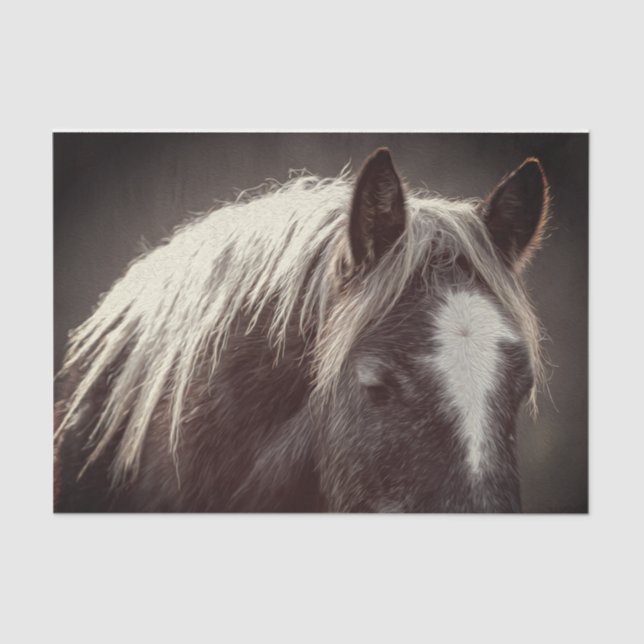 Broadfoot Colt Tissue Paper (Front)