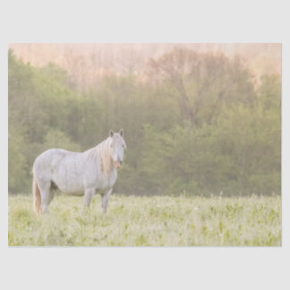 Broadfoot Mare Tissue Paper
