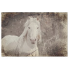 Broadfoot Stallion 18 ob. Tissue Decoupage Paper