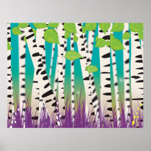 Broadleaved deciduous hardwood Birch Trees Poster