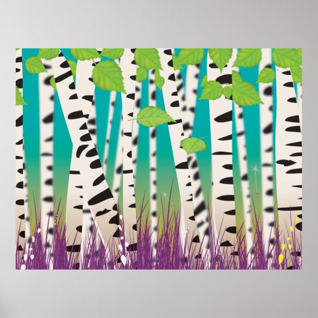 Broadleaved deciduous hardwood Birch Trees Poster (Front)