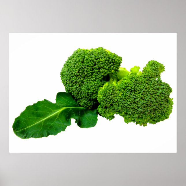 Broccoli 28" x 20", Value Poster Paper (Matte) (Front)