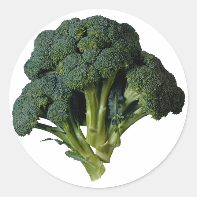 Broccoli Classic Round Sticker (Front)