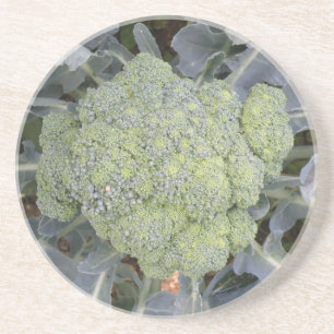 Broccoli Coasters