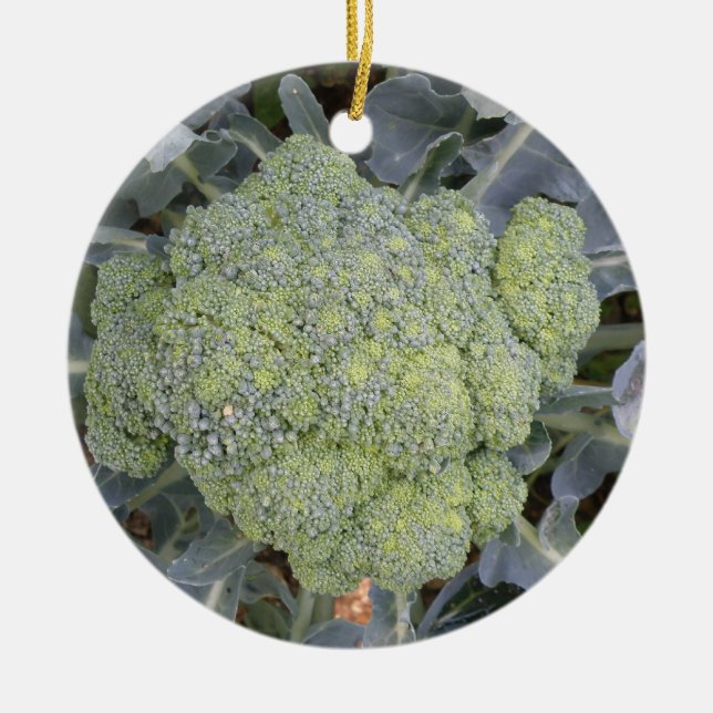 Broccoli Custom Birthday Ceramic Tree Decoration (Front)