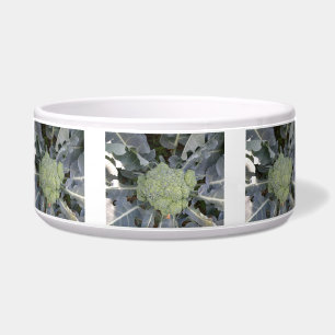 Broccoli Dog Bowl