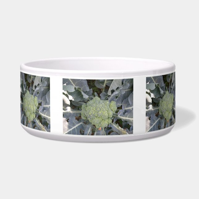 Broccoli Dog Bowl (Front)
