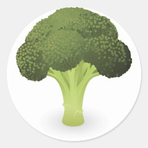 Broccoli illustration classic round sticker