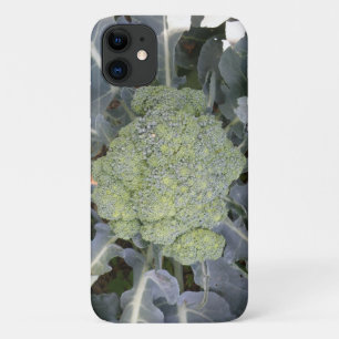 Broccoli iPhone 3 Case