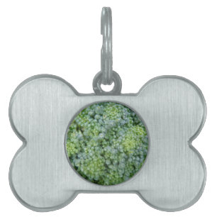 Broccoli Macro Pet Tag