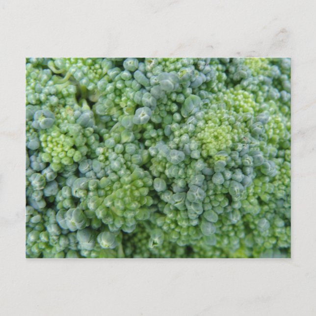 Broccoli Macro Postcard (Front)