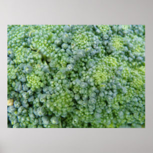 Broccoli Macro Print
