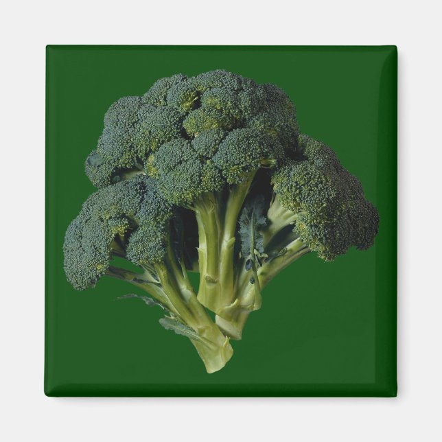 Broccoli Magnet (Front)