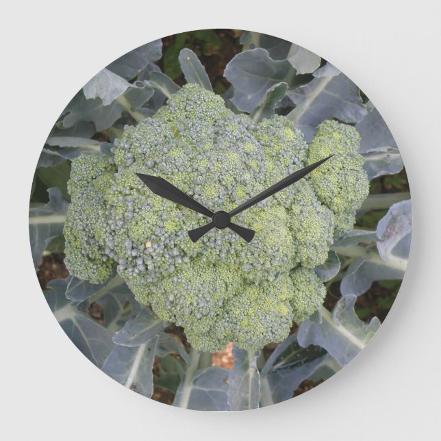 Broccoli Wall Clock (Front)