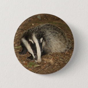 Brockwatch badger badge