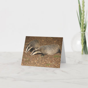 Brockwatch badger greetings card
